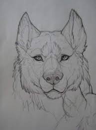 29 Ideas For Tattoo Wolf Realistic Beautiful Wolves Eyesketch Drawingsketches Artdrawings Tattoosketches Wo Animal Drawings Art Drawings Animal Sketches