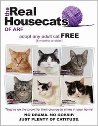 Watch the video explanation about free dog adoptions at indianapolis animal care services online, article, story, explanation, suggestion, youtube. 200 Humane Society Ideas Humane Society Pets Animal Shelter