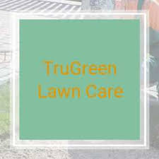 Trim or remove trees and shrubs. 19 Best Lawn Care Mowing Services In El Paso Tx