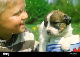 439 hi-res stock photography and images