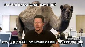 Guys, hey guys.guess what day it is. Pin On Saturday Quotes