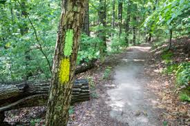 Chicopee Woods Trail System Hikethesouth