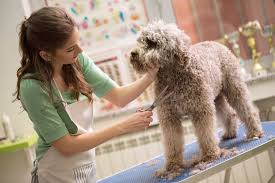Woof gang bakery & grooming westlake local pet food and supply store is a healthy pet shop near austin with everything you need for your dogs & cats. 2021 Dog Grooming Prices List Costs By Breed Weight