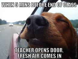 49 yoga memes ranked in order of popularity and relevancy. Bikram Yoga Memes