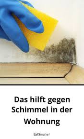 Schimmel In Der Wohnung Hausputz Schimmel Haushalts Tipps