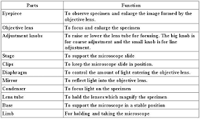 Microscope Parts Microscope Parts Image Form Microscopic