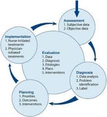 Adpie Where To Find Evidenced Based Nursing Intervention