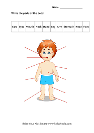 However, this crossword puzzle focuses on french vocabulary of parts of the head. Human Body Parts Worksheets Matching Identification Worksheet