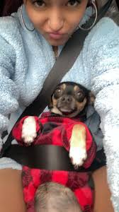 Have you seen my lost dogs Rosie and Theodore in Concho, AZ?