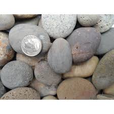 Pin On Rock Collectors