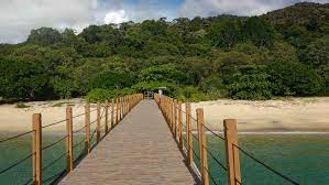 Penang national park is the smallest of the malaysian national parks covering some 1200 hectares in the northwest corner of penang island. Penang National Park Everything You Need To Know