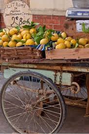 Lemons Menton French Riviera France Amoilafrance Com Citrons De Menton C Crt Riviera Cote D Azur Robert Palomba French Riviera Menton French Countryside