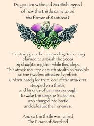 How Flower Of Scotland Came To Be Our National Anthem Scotland Highlands Schotland Reizen Schotland Schotland
