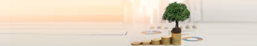 What are the fees and charges for using cash deposit machine? Bonus Booster Deposit