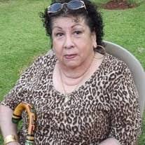 Diamond Hernandez's Instagram, Twitter & Facebook