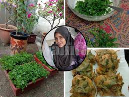 Bayam bisa tumbuh di lingkungan dengan ketinggian sampai 1000 meter dari permukaan laut. Tanam Bayam Brasil Hasilnya Boleh Buat Cucur Mingguan Wanita