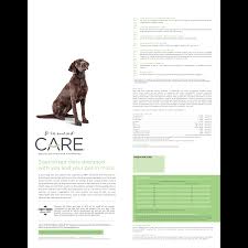 In fact, their inactivity may denote they are not feeling well. Diamond Care Adult Dog Sensitive Skin Formula Diamond Pet Foods