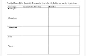 Continuous with to rough er function: Plant Cell Types Fill In The Chart To Determine The Chegg Com