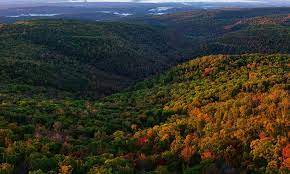 Fayetteville, ar is the entertainment capital of northwest arkansas, as well as the perfect destination to experience all the region has to offer. Fayetteville 2021 Best Of Fayetteville Ar Tourism Tripadvisor