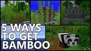 Once you've found a bamboo plant, you will want to break it. 5 Ways To Get Bamboo In Minecraft Youtube