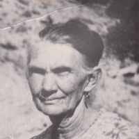 Amelia Heiner Black (1866–1941) • FamilySearch