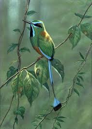 Tony bennett paintings original painting: Bird Art By Tony Bennett