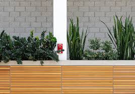 The plant may releases moisture in the air and lessens airborne allergens. Hd Wallpaper Green Snake Plant Botanical Gardens Color Design Greenhouse Wallpaper Flare