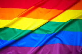 Someone whose sexual identity changes. Michigan Flies Pride Flags On State Building For First Time