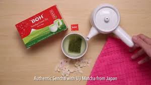 Enjoy one of the world's finest tea brands straight from the cameron highlands, malaysia. Boh Sencha Green Tea Youtube