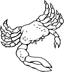 100% free, no strings attached! Blue Crab Coloring Page Animals Town Animals Color Sheet Blue Crab Free Printable Coloring Pages Animals