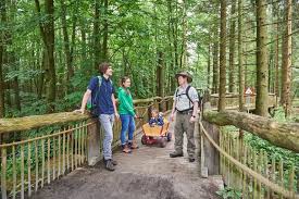 110 square kilometres in the middle of the hohes venn eifel nature park. Start Page Eifel National Park