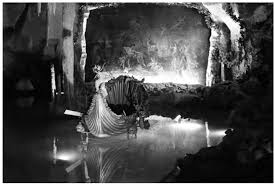 PDF) Immersion Into Noise