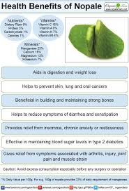 Nopales are thick, oval, flat, modified stems of the cactus plant eaten as a vegetable. Pin On Cactus Nutrients And Health Benefits