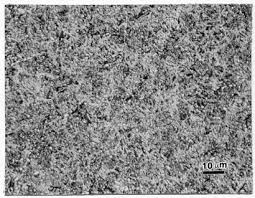 Image result for steel micrograph