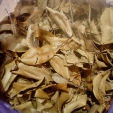 Labu penguap dalam distilasi fraksinasi. Daun Cengkeh Kering 100gr Shopee Indonesia