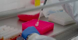 Astrazeneca Missteps Undermined U S Faith In Coronavirus Vaccine Info News All Just Hot News Glaxosmithkline partners with vir to start antibody treatment tests.