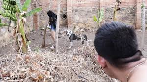 MI VECINA TETONA ESTABA REGANDO LAS PLANTAS Y ME LA FOLLO AL AIRE LIBRE