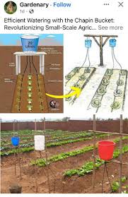 Daisy Parnell (daisysowell)