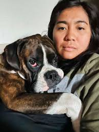 Boxer dog afraid of thunder storms and solutions