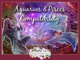 You are born on the cusp of this is the cusp most likely to be labeled offbeat or eccentric. Aquarius And Pisces Love Sex Friendship
