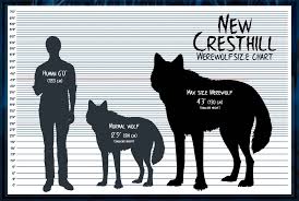 Nch Werewolf Size Chart Closed By Summonwolf In 2019