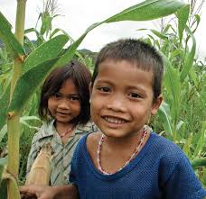 Towards Sustainability