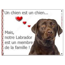 Labrador Chocolat Tete Plaque Portail Les 8 Souhaits Secrets Pancarte Affiche Panneau Commandements Education Brun Marron Labrador Chocolat Labrador Pancarte