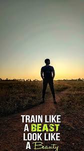 The best quality and size only with us! Page 6 Hd The Gym Wallpapers Peakpx