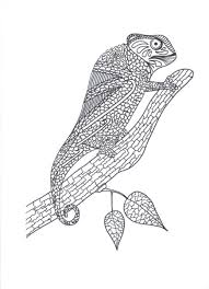 Chameleon coloring book for adults vector illustration. Chameleon Coloring Page For Adults Thriftyfun