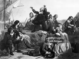 1,786 Dutch Robinson Photos & High Res Pictures