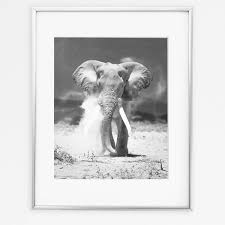 Elephant Decor Elephant Print Elephant Wall Art Animal Prints Black And White Scandinavian Print Home Decor Poster Print Printable