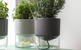 Planters and balcony boxes with smart irrigation systems from lechuza. Self Watering Planters How They Work Diy Option Tips For Use