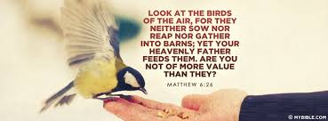 Look At The Birds Of The Air They Neither Sow Nor Reap Look At The Birds Of The Air For They Neither Sow Nor Reap Nor Gather Into Christian Bible Quotes Christian Facebook Cover Christian Quotes Images