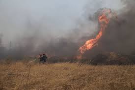 Μεγάλη φωτιά μαίνεται αυτή την ώρα στα γεράνεια όρη και συγκεκριμένα στο ύψος της κινέτας. Fwtia Twra Sthn Hleia Isxyres Pyrosbestikes Dynameis Eikones In Gr